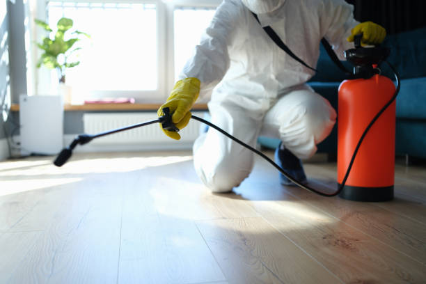 Reliable Crime Scene Cleanup contractor in Springville, CA by Trauma Clean Pros